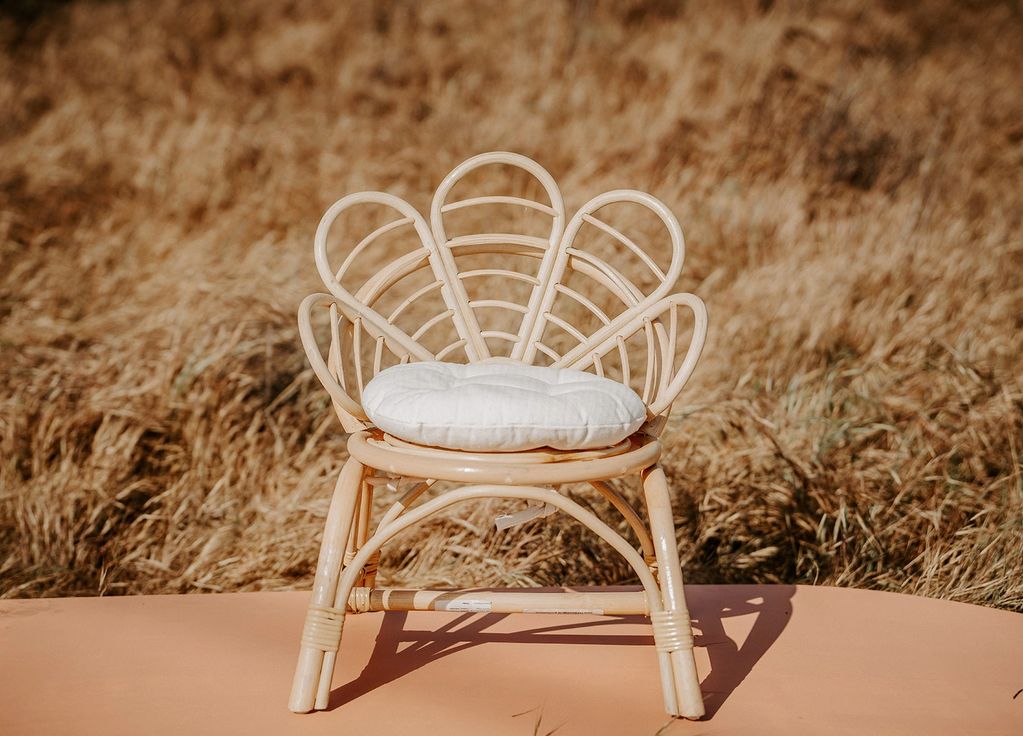Petal Chair 
$25 half day or $35 full day
qty: 2
Half day = 4 hrs
Full day = 8 hrs