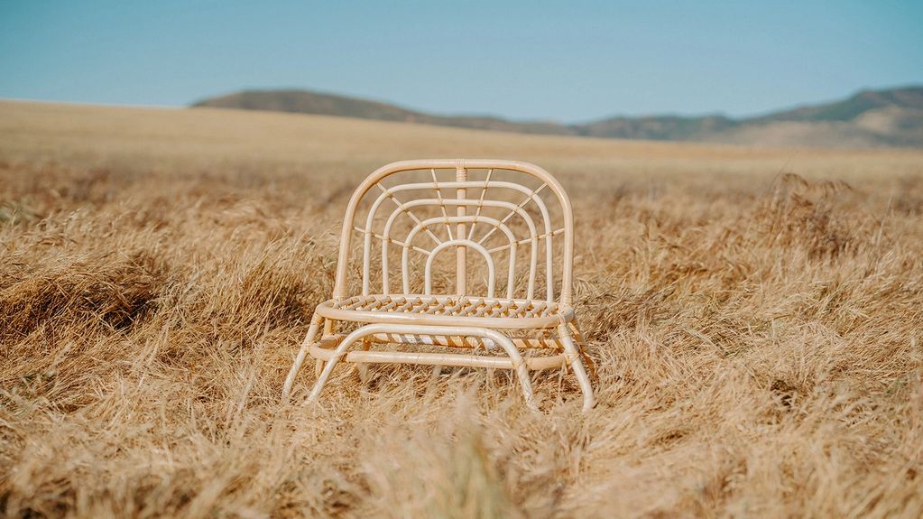 Rainbow Bench
$30 half day or $45 full day
qty: 3