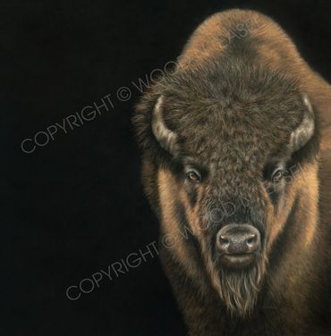 "The Stare"
Giclée Paper Print (Charcoal/Pastels)
24" x 24" = $80
18" x 18' = $40