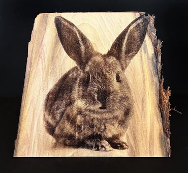 Laser Engraved Wood Wedge
$16