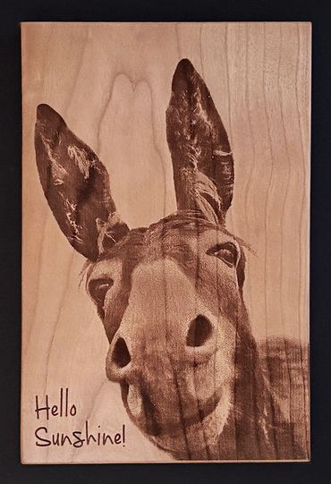 Laser Engraved Sign
$15