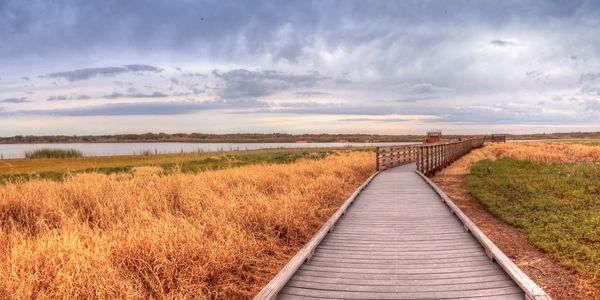 Myakka State Park. Florida attraction. 