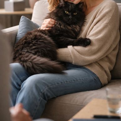 black cat sitting with person in therapy