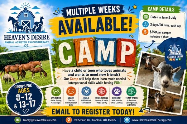 Animal therapy camp for kids ages 8-12 and 13-17 with multiple weeks available.