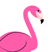 Flamingo Home Care