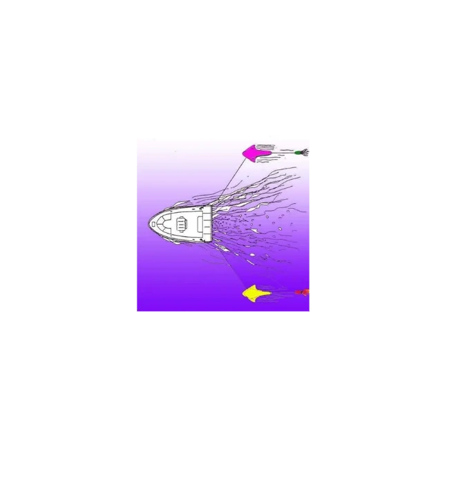 Best Fishing Teasers for a Successful Fishing Trip