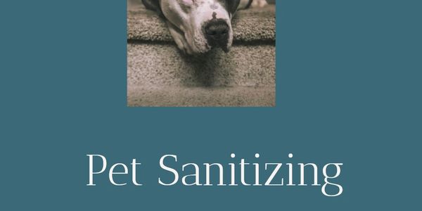 A dog resting with the text Pet Sanitizing.