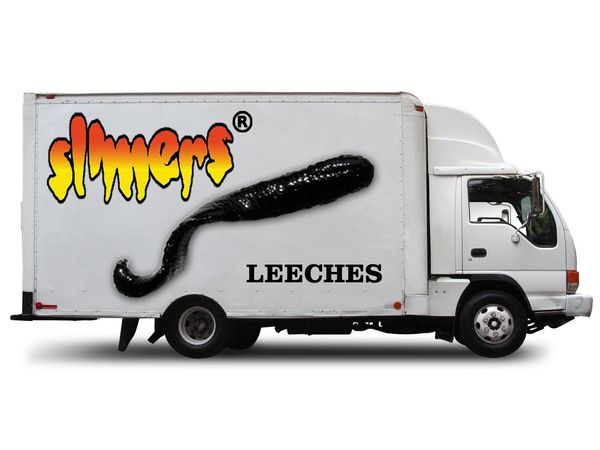 Slimers leeches are delivered to your door or fishing destination.
