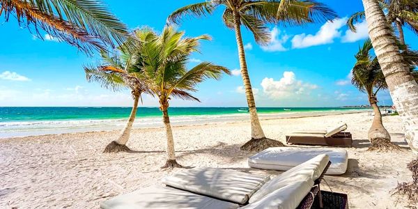 Matthew "Mateo" Rossini