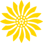 Golden Iris Agency