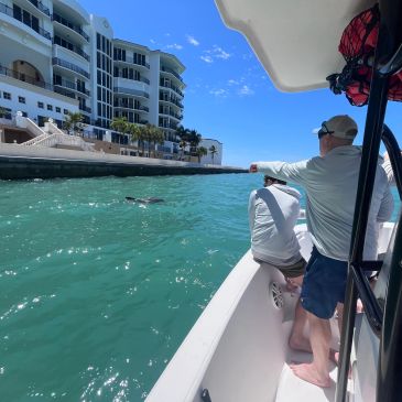 Two men on a boat observing a dolphin in the water near waterfront buildings.