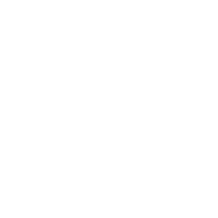 Shampoochiedoggrooming