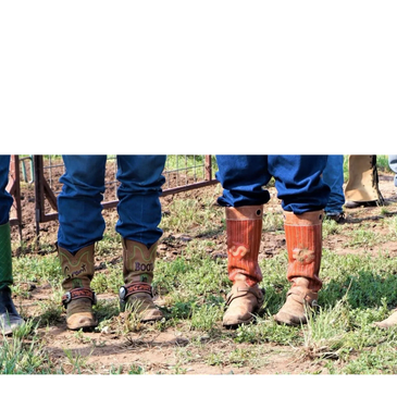 Four people wearing cowboy boots and jeans standing on grass.