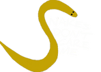Snakes Don't Scare Me