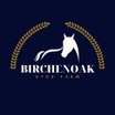 Birchen Oak Equestrian & Stud