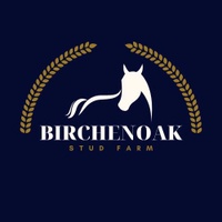Birchen Oak Equestrian & Stud