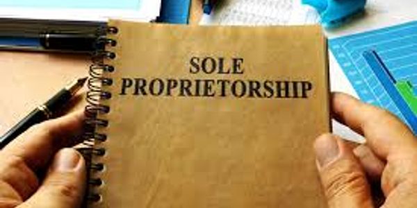 Sole Proprietorship, Sole Proprietor