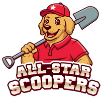All Star Scoopers