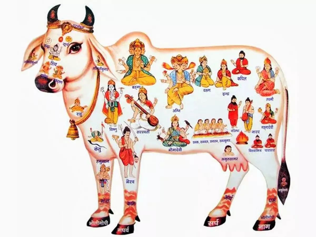 Rare Gifts Art As Fund Raiser For Cows rare-gifts-art-as-fund-raiser-for-cows