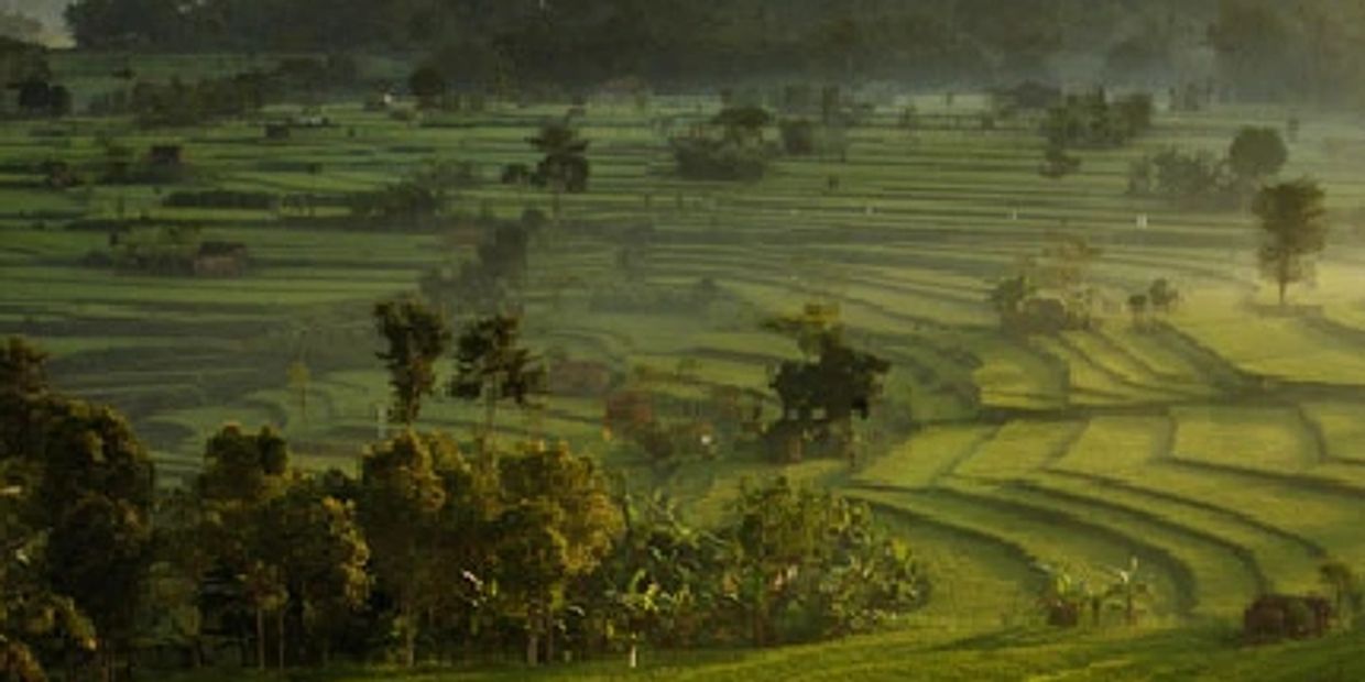 Rise fields. fabulous views around day but early morning special