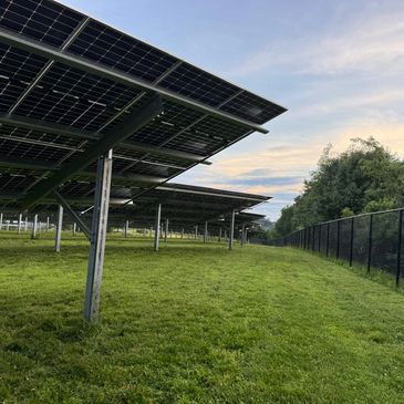 Rows of solar panels on green grass under a cloudy sky.