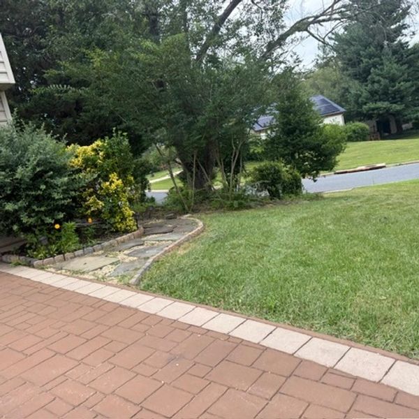 A paved walkway adjacent to a lawn with shrubs and trees.