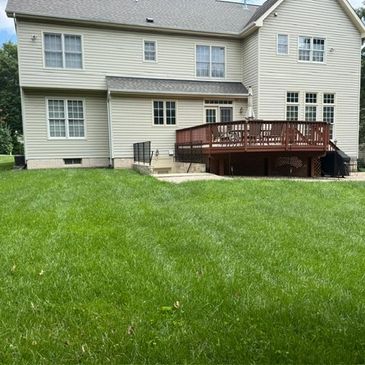 Backyard with green lawn and wooden deck.