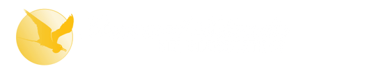 Leeward Islands Media