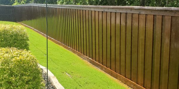 Fresh stain on a beautiful fence