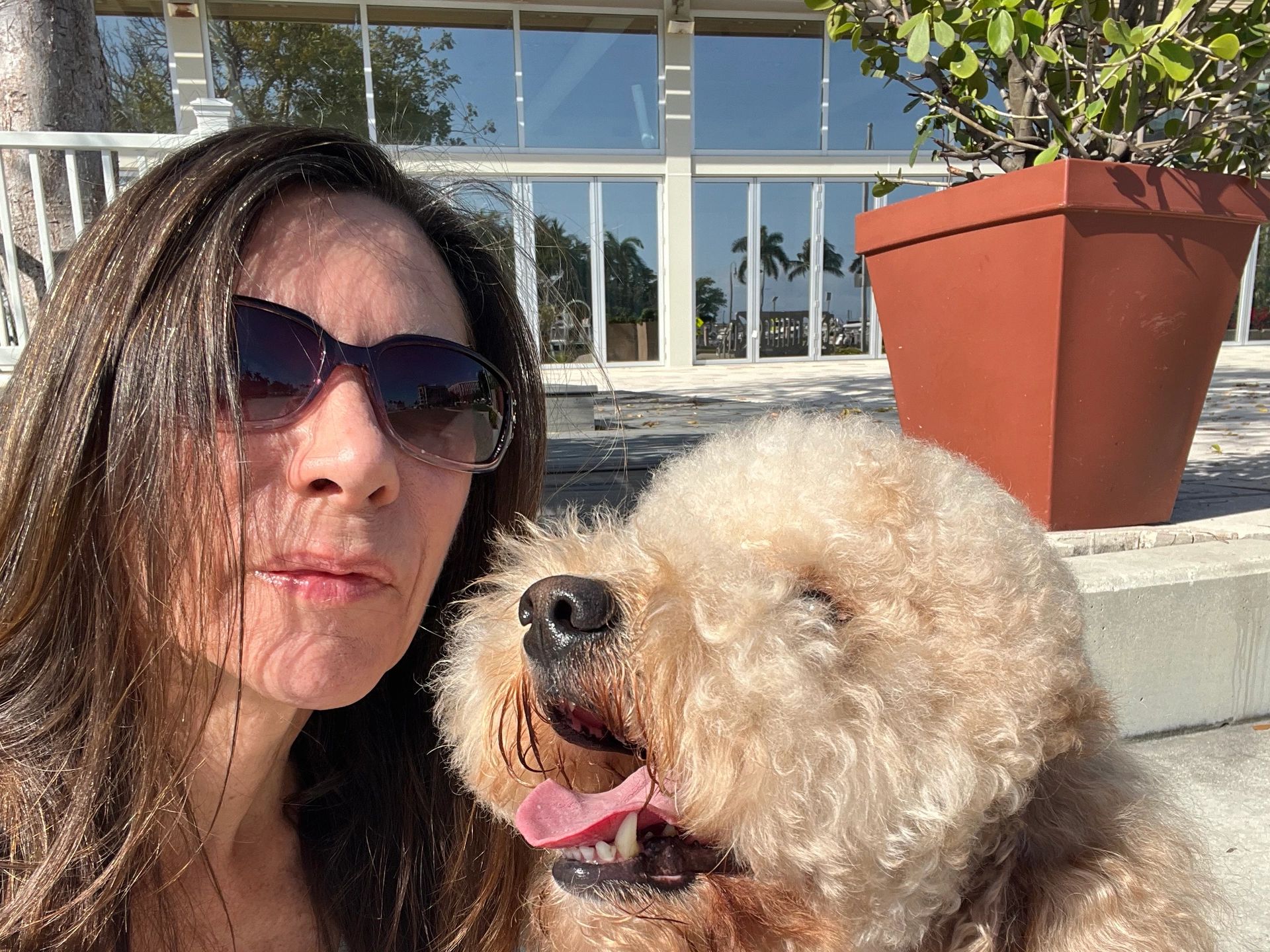 Lorraine J Smith. Heel 2 Heal dog training West Palm Beach