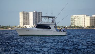 Quality dad/son time at the rail! #hooklineandsearcher  #searchersportfishing #teamsearcher