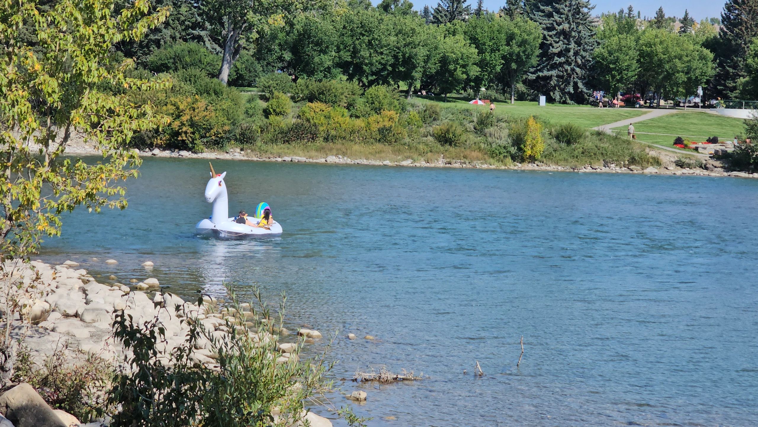 picnic in the park — photo 4