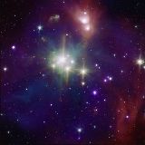 Stars forming in Coronet cluster