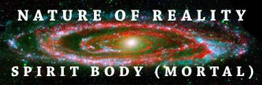 Nature of Reality Spirit Body Mortal - Andromeda Galaxy