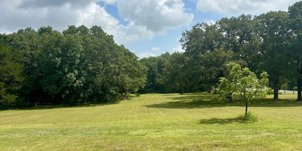 Sunlit grassy field bordered by dense trees under a partly cloudy sky.