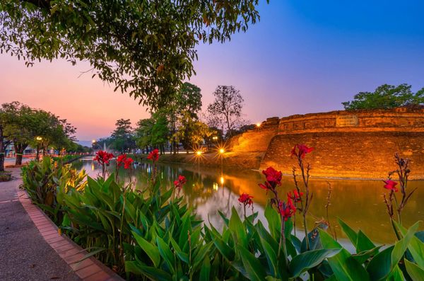 Sunset over a historic moat with blooming red flowers and trees.