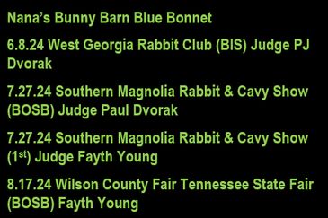 Text listing dates and judges for rabbit and cavy shows.