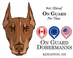 On Guard Dobermanns