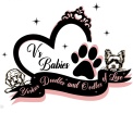 V’s Babies