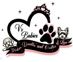 V’s Babies