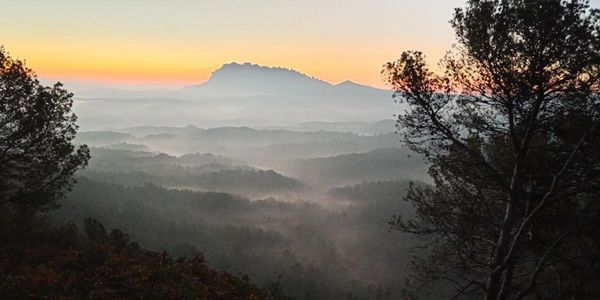 Steven O' Riordan Counselling and Psychotherapy in Portlaoise and Online