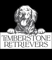 Timberstone Retrievers