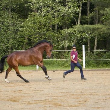 A person running alongside a brown horse in an outdoor arena.