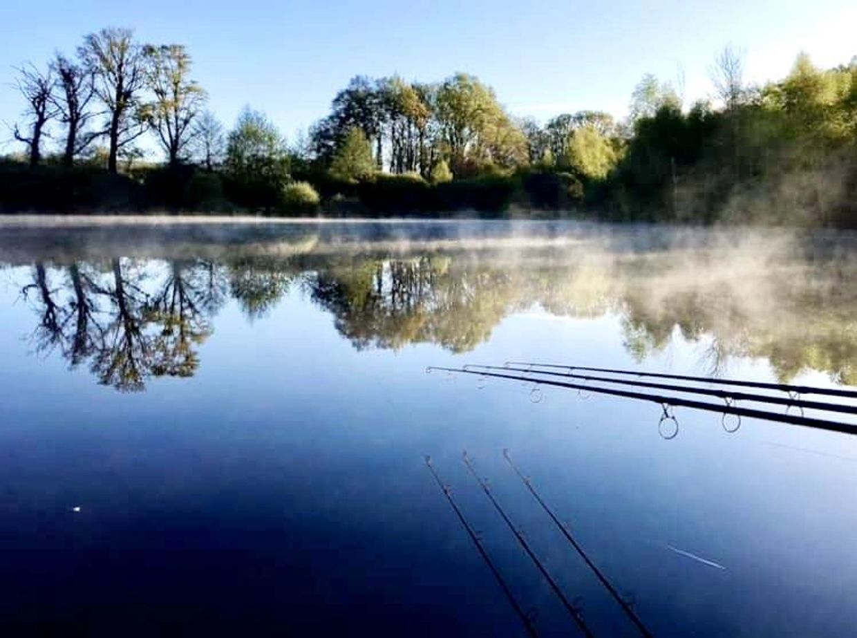 Image courtesy of Andrew Stebbeds