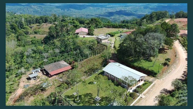 Honduras Photos.jpg