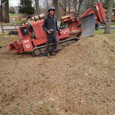 Tree removal, tree cutting, tree trimming, tree cleanup, certified and insured