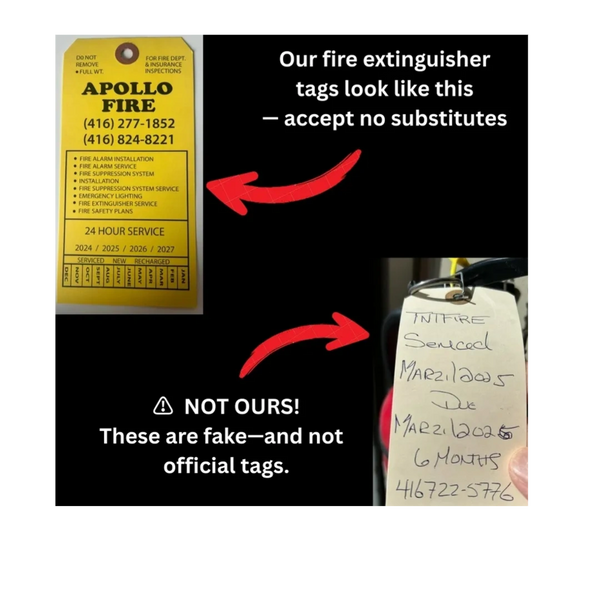 Apollo Fire Tags compared to Fake Tags