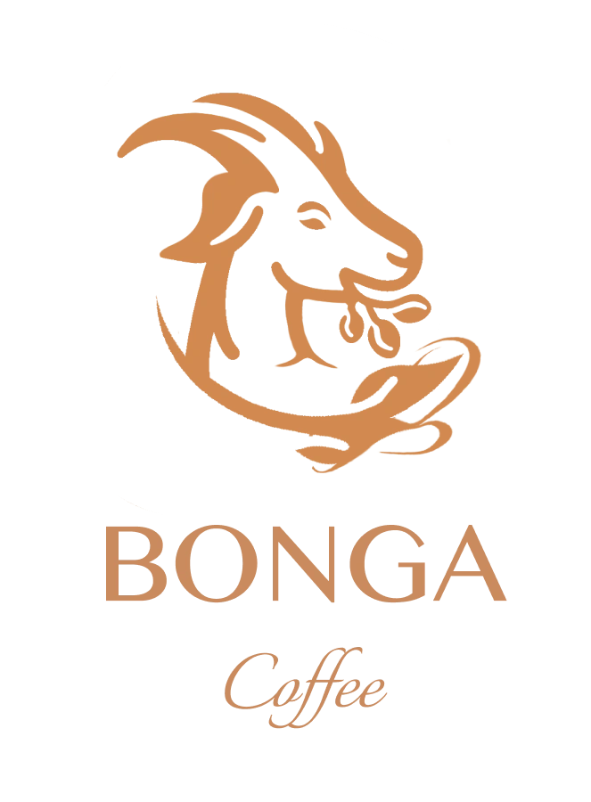 Bonga Coffee @ East Finchley