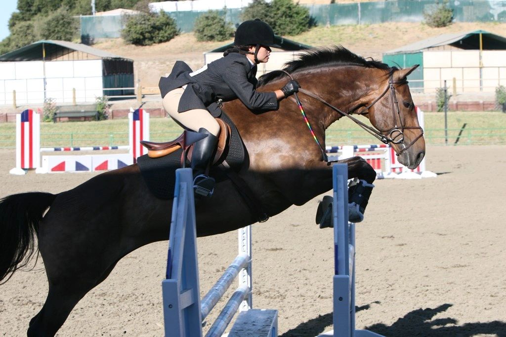 Horseback Riding Lessons Peppercorn Ranch Go Central