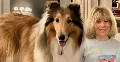 Smiling woman with a collie dog holding a book on a cozy couch.